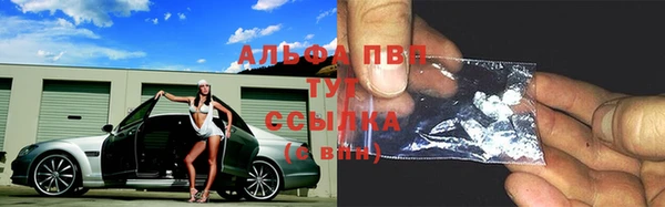молекула духа Горняк