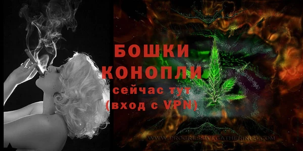 молекула духа Горняк
