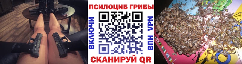 Псилоцибиновые грибы GOLDEN TEACHER  Купить  Серов 